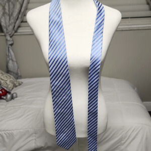 Blue and White Striped Tie Accessories